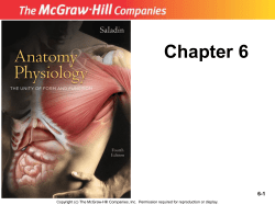 Chapter 7 The Integumentary System
