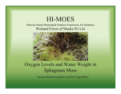 Oxygen and Water Weight in Sphagnum Moss