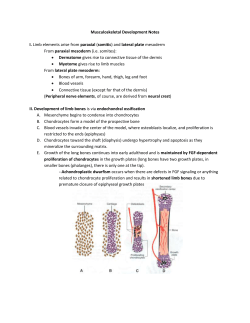 Embryology03-LimbDevelopment_Notes