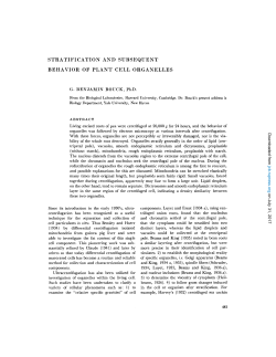 stratification and subsequent behavior of plant cell organelles
