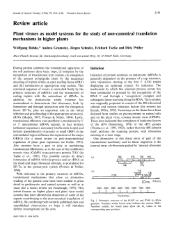Plant viruses as model systems for the study of non