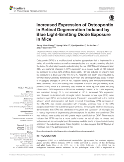 Increased Expression of Osteopontin in Retinal Degeneration