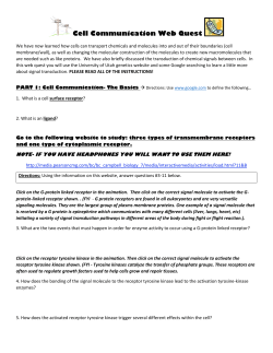 3. What are the two events that must happen in order for enzyme