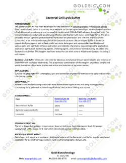 Bacterial Cell Lysis Buffer