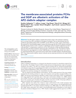The membrane-associated proteins FCHo and SGIP are allosteric