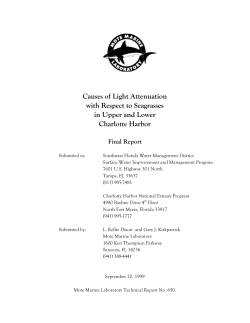Causes of Light Attenuation with Respect to Seagrasses in Upper