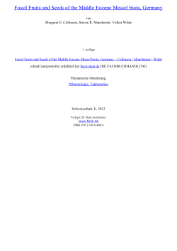 Fossil Fruits and Seeds of the Middle Eocene Messel - Beck-Shop