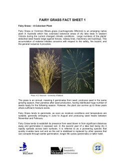 Fairygrass Fact Sheet 1