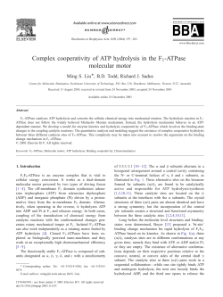 Complex cooperativity of ATP hydrolysis in the F1