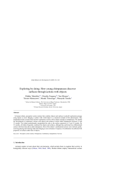 Exploring by doing: How young chimpanzees discover surfaces