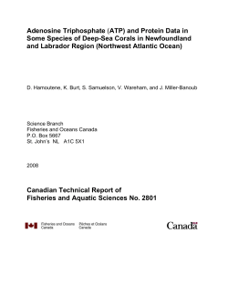 ATP and Protein Data in Some Species of Deep