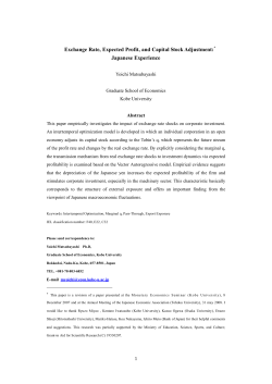 Exchange Rate, Expected Profit, and Capital Stock Adjustment