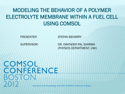 modeling the behavior of a polymer electrolyte membrane within a