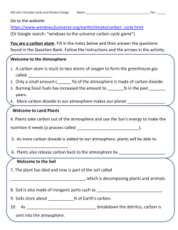 Carbon Cycle online WS