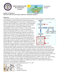 File - Pedersen Science