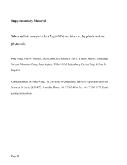 Supplementary Material Silver sulfide nanoparticles (Ag2S
