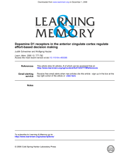 effort-based decision making Dopamine D1 receptors in the anterior