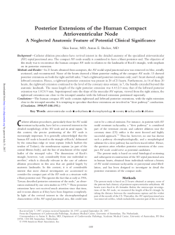 Posterior Extensions of the Human Compact Atrioventricular Node
