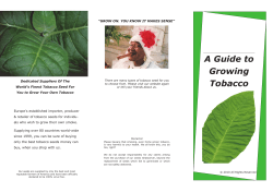 A Guide to Growing Tobacco