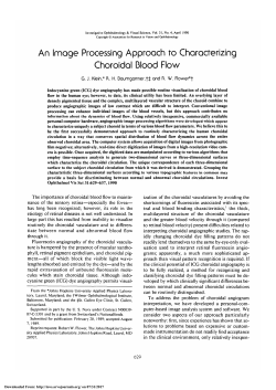 An image processing approach to characterizing choroidal blood flow.