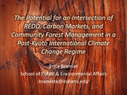 The Potential for an Intersection of Carbon Markets, REDD, and