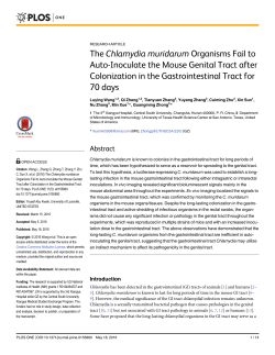 The Chlamydia muridarum Organisms Fail to Auto