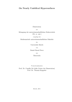 Daniel R. Perez, On Nearly Umbilical Hypersurfaces