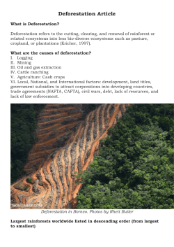 TEXT #1 = Deforestation