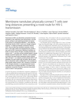 Membrane nanotubes physically connect t cells