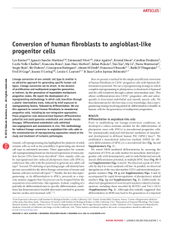 Conversion of human fibroblasts to angioblast