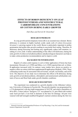 effects of boron deficiency on leaf photosynthesis