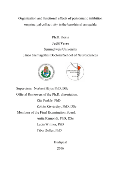 Organization and functional effects of perisomatic inhibition on