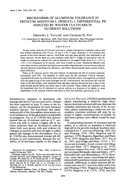Mechanisms of Aluminum Tolerance in Triticum aestivum L. (Wheat