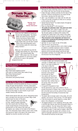 Pitcher Plant Predators