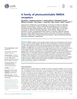 A family of photoswitchable NMDA receptors | eLife