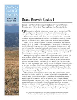 Grass Growth Basics I