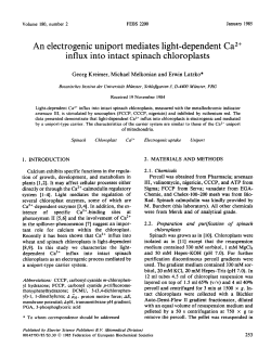 An electrogenic uniport mediates light-dependent