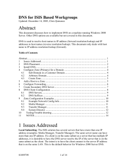 Draft Proposal for DNS for ISIS Based Workgroups