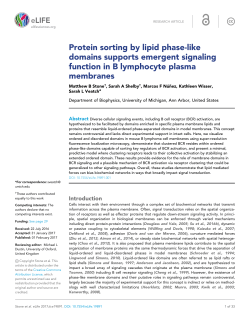 Protein sorting by lipid phase-like domains supports emergent