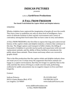 A Fall From Freedom Press Kit