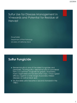 Sulfur Fungicide