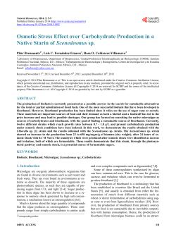 Osmotic Stress Effect over Carbohydrate Production in a Native