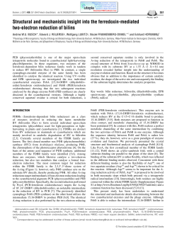 Structural and mechanistic insight into the ferredoxin