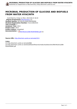 microbial production of glucose and biofuels from water hyacinth