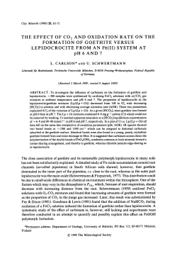 THE EFFECT OF CO2 AND OXIDATION RATE ON THE