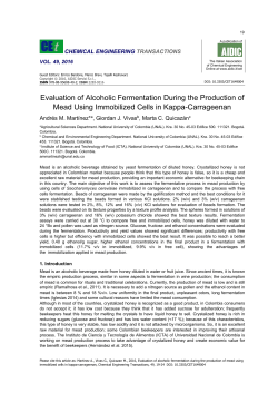 Evaluation of Alcoholic Fermentation During the Production of
