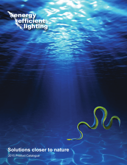 efficient lighting energy