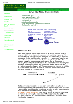 How Do You Make A Transgenic Plant?