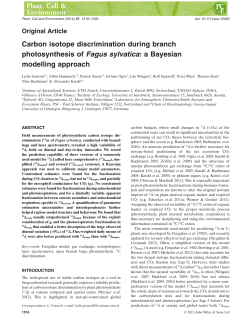 Carbon isotope discrimination during branch