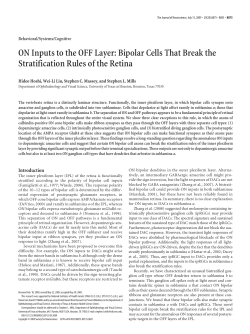 ON Inputs to the OFF Layer: Bipolar Cells That Break the
